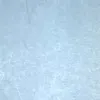 saltychip54