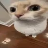 ashleygiff0rd
