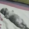 rzxfgh