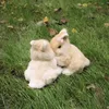 spinmearound17