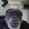 begfue13