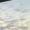 _14060519