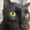 felicks69