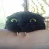 gamer_frowi