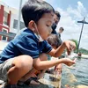 nurarifin1