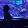 karrglass