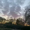 danne_055