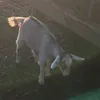 maferpena01