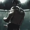 vii_v_mmi