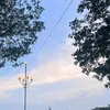 nafleurir_