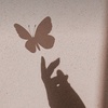 butterfly_only22