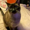 oobcdkp_55