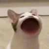 chicknnuggiee