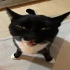 mojitoanalcolico