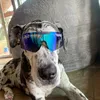 racheal_sizzle