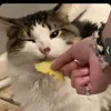 qntkrn