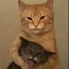 momoandkuma