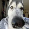 nwatson2
