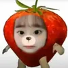notanotakuxd