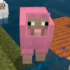 🦦