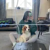 sophiexmai