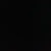 lotusbomb27