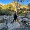 palomadvni_