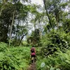 selumbari88