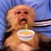 adrianteddybear