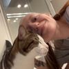 molly_151124
