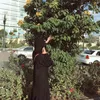 yousra_os