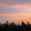 angliennnnni8