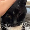 nilsie.ls