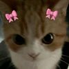 ash_blue29