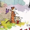 Calvin ˚♪⋆⊹