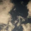 freakingfrickmann