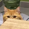 foxtrotounet