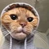 lewser____