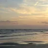 miicxela