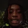 10PoundSavage