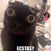 justemeandmylife2