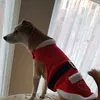 susanbloomfield123
