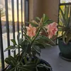morganb16_