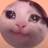 irmnb