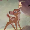 selinkunbi