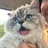 whoswhyem