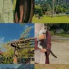 velunora_