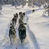 janasweetland2929
