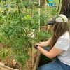 bearfootehomestead