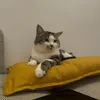 samantag1